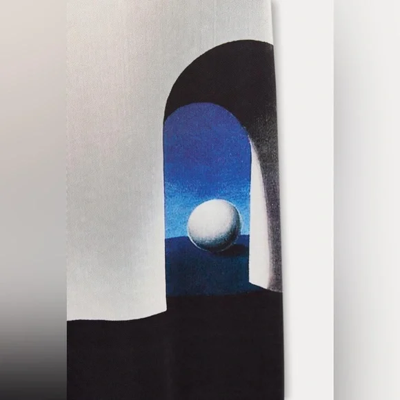 ZARA NWT RENÉ MAGRITTE PRINT TULLE DRESS SIZE SMALL - Picture 7 of 7